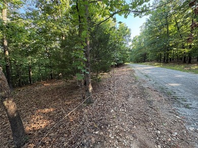 Rare Opportunity - 6.55 Acres in Webbs Landing Subdivision - photo 5