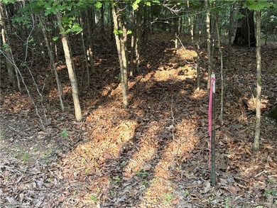 Rare Opportunity - 6.55 Acres in Webbs Landing Subdivision - photo 7