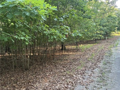 Rare Opportunity - 6.55 Acres in Webbs Landing Subdivision - photo 8