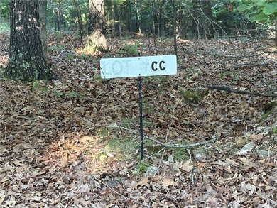 Rare Opportunity - 6.55 Acres in Webbs Landing Subdivision - photo 9