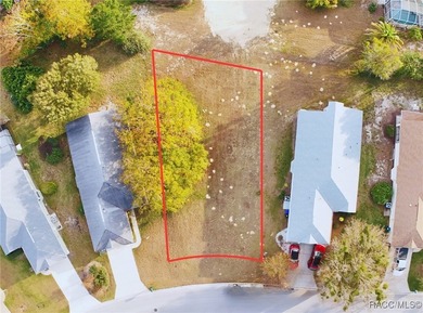 Build your dream home in the heart of Lecanto with this homesite - photo 2