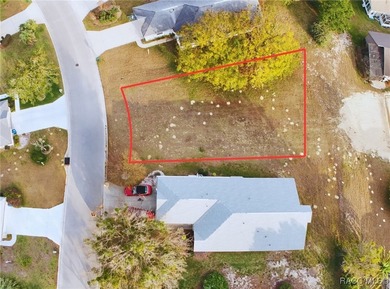 Build your dream home in the heart of Lecanto with this homesite - photo 3