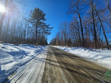 (private lake, pond, coastal) Acreage For Sale in New Sharon Maine