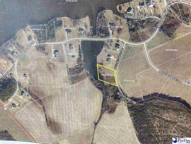 (private lake, pond, coastal) Lot For Sale in Dillon South Carolina