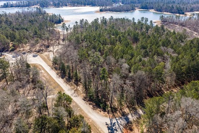 Strom Thurmond / Clarks Hill Lake Lot For Sale in Lincolnton Georgia