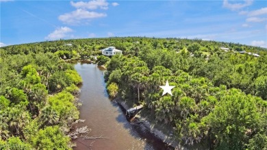 (private lake, pond, creek) Lot For Sale in Bokeelia Florida