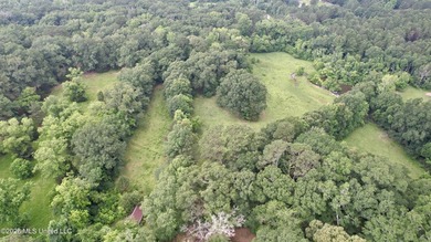 This attractive 12.22 +/- acre parcel offers excellent potential - photo 1