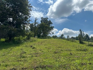 Lake Acreage For Sale in Leicester, North Carolina