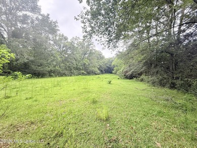 This attractive 12.22 +/- acre parcel offers excellent potential - photo 10