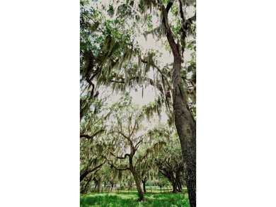 Lake Tohopekaliga Lot For Sale in Saint Cloud Florida