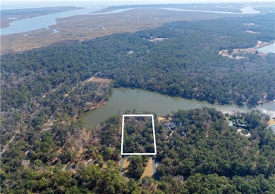 Lake Acreage For Sale in Saint Simons, Georgia