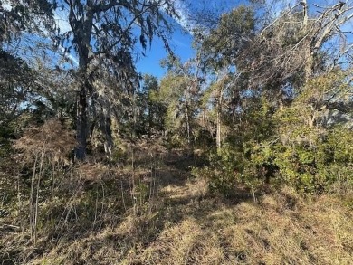 Lake Lot For Sale in Waverly, Georgia