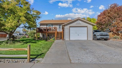 Colorado River Home For Sale in Grand Junction Colorado