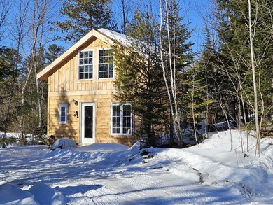 (private lake, pond, coastal) Home For Sale in Farmington Maine