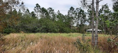 Lake Lot For Sale in Indian Lake Estates, Florida