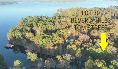 Lake Lot For Sale in Many, Louisiana