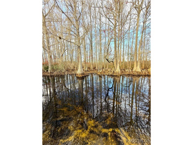 Tsala Apopka Chain of Lakes Lot For Sale in Floral City Florida