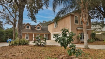 Alafia River - Hillsborough County Home Sale Pending in Brandon Florida