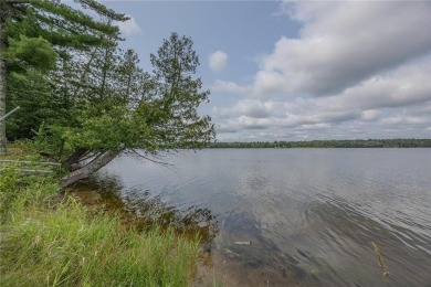 Lake Home For Sale in Longville, Minnesota