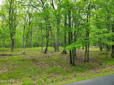 Lake Lot For Sale in Hawley, Pennsylvania
