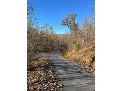 Hiwassee River - Clay County Acreage For Sale in Hayesville North Carolina