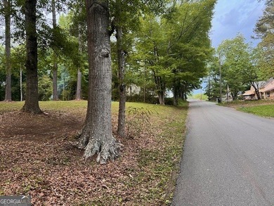 Beautiful 1.6-acre residential lot located in the heart of - photo 12