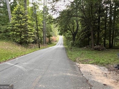 Beautiful 1.6-acre residential lot located in the heart of - photo 13