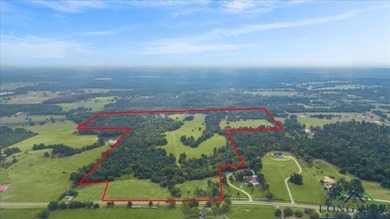 (private lake, pond, creek) Acreage For Sale in Big Sandy Texas