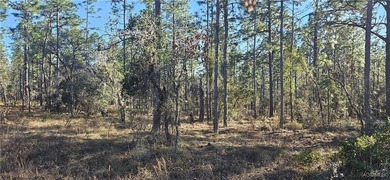Bonable Lake Lot For Sale in Dunnellon Florida