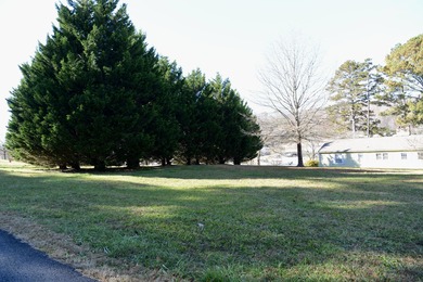 Endless Possibilities 2.35 acre Back of the Highway property - photo 4