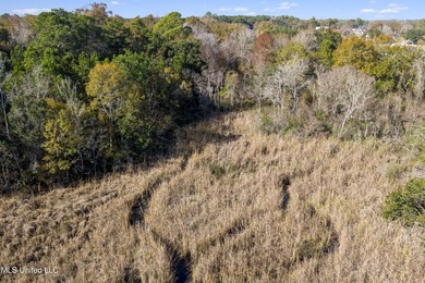 Turn this mixed-zoned lot into your dream setup -operate a - photo 12