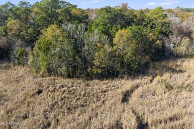 Turn this mixed-zoned lot into your dream setup -operate a - photo 13