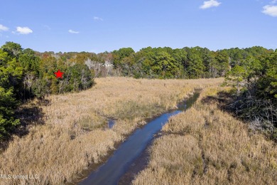 Turn this mixed-zoned lot into your dream setup -operate a - photo 14
