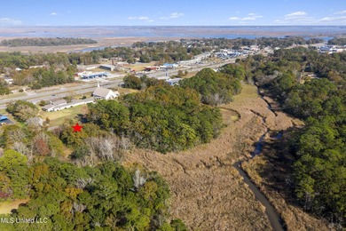 Turn this mixed-zoned lot into your dream setup -operate a - photo 16