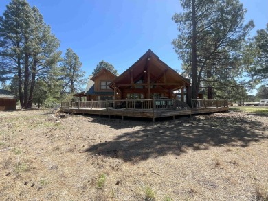 The Buggy Wheel Ranch is 22 miles west of Flagstaff and eight - photo 16