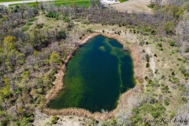 (private lake, pond, creek) Acreage For Sale in Berrien Springs Michigan