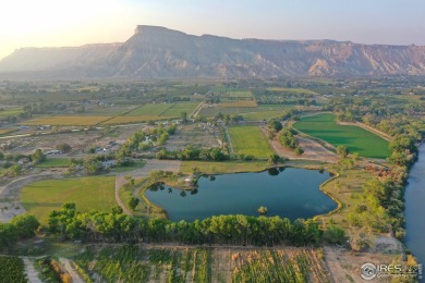 Colorado River Acreage For Sale in Clifton Colorado
