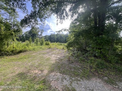 21.09 +/- acres offering a great opportunity for a future home - photo 1
