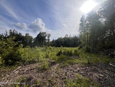 21.09 +/- acres offering a great opportunity for a future home - photo 3