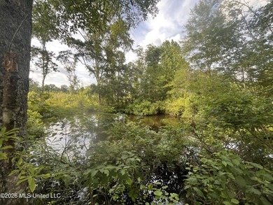 21.09 +/- acres offering a great opportunity for a future home - photo 4