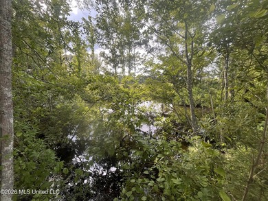 21.09 +/- acres offering a great opportunity for a future home - photo 5