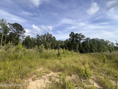21.09 +/- acres offering a great opportunity for a future home - photo 8