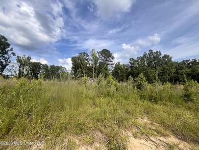 21.09 +/- acres offering a great opportunity for a future home - photo 9