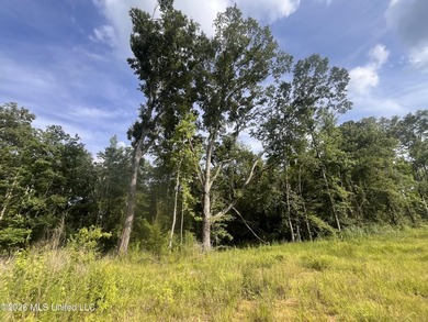 21.09 +/- acres offering a great opportunity for a future home - photo 10
