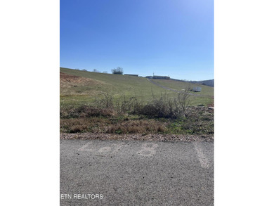 Holston River - Grainger County  Acreage Sale Pending in Rutledge Tennessee