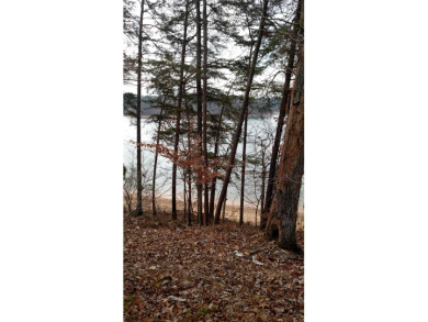 Lake Lot For Sale in Arley, Alabama
