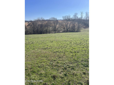 5.41 beautiful acreage tract with mountain views and countryside - photo 2