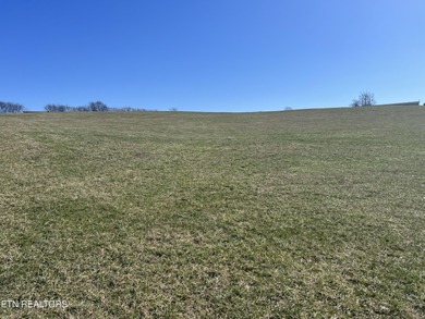 5.41 beautiful acreage tract with mountain views and countryside - photo 3