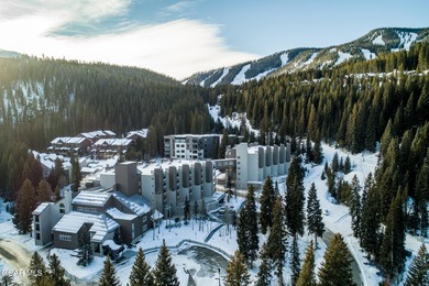 (private lake, pond, creek) Condo For Sale in Winter Park Colorado