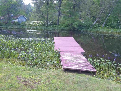 Located near the Adirondack Mountains and Canadian border on the - photo 5